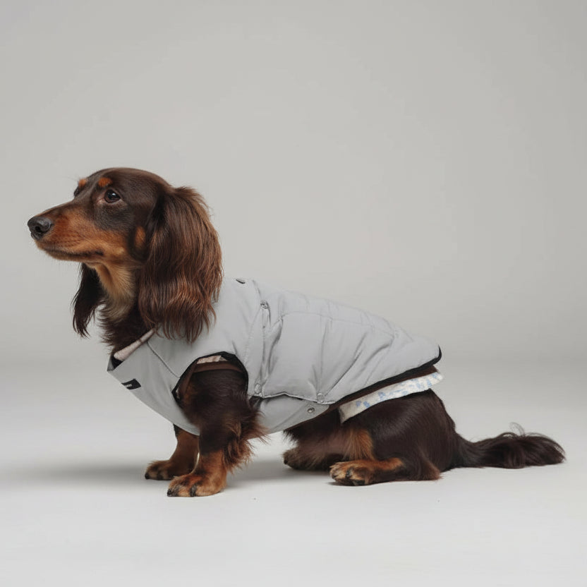 Veste réversible pour teckel en gris, idéale pour garder votre chien au chaud et élégant