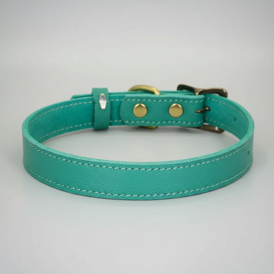 Collier cuir pour chien bleu turquoise avec double rivet en métal et boucle réglable