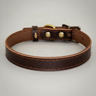 Collier cuir pour chien marron foncé de la marque Oscar et Plume avec boucle métal solide