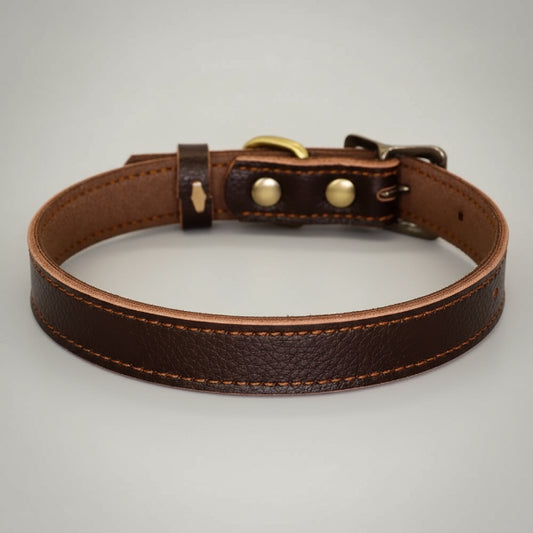 Collier cuir pour chien marron foncé de la marque Oscar et Plume avec boucle métal solide
