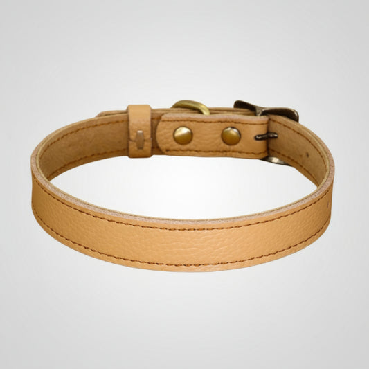 Collier cuir pour chien beige de la marque Oscar et Plume avec boucle en métal doré