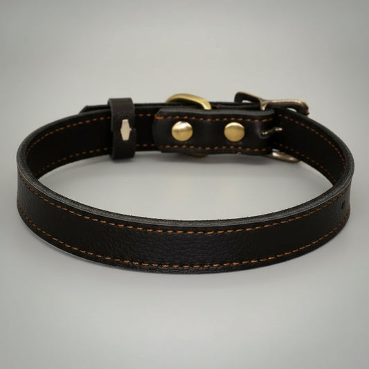 Collier cuir pour chien noir avec coutures visibles et boucle métallique robuste