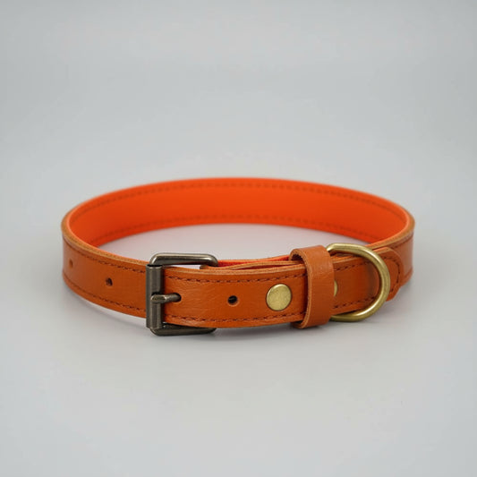 Collier cuir pour chien de couleur orange avec boucle métallique et rivets dorés