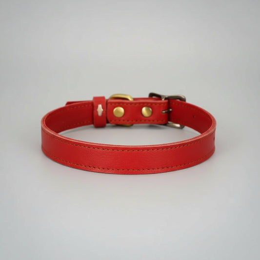 Collier cuir pour chien rouge avec boucle métal et rivets dorés par Oscar et Plume
