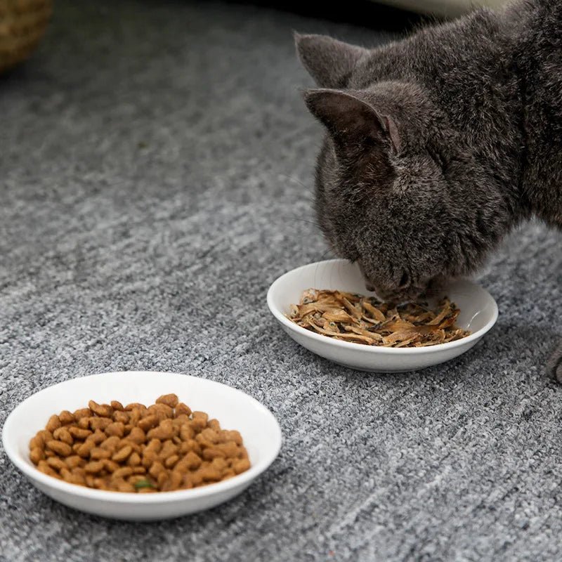 Assiette en Céramique pour Chat Oscar et Plume Poisson