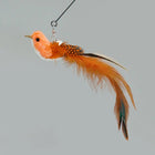 Baguette plume oiseau pour chat orange et marron avec longues plumes naturelles Oscar et Plume