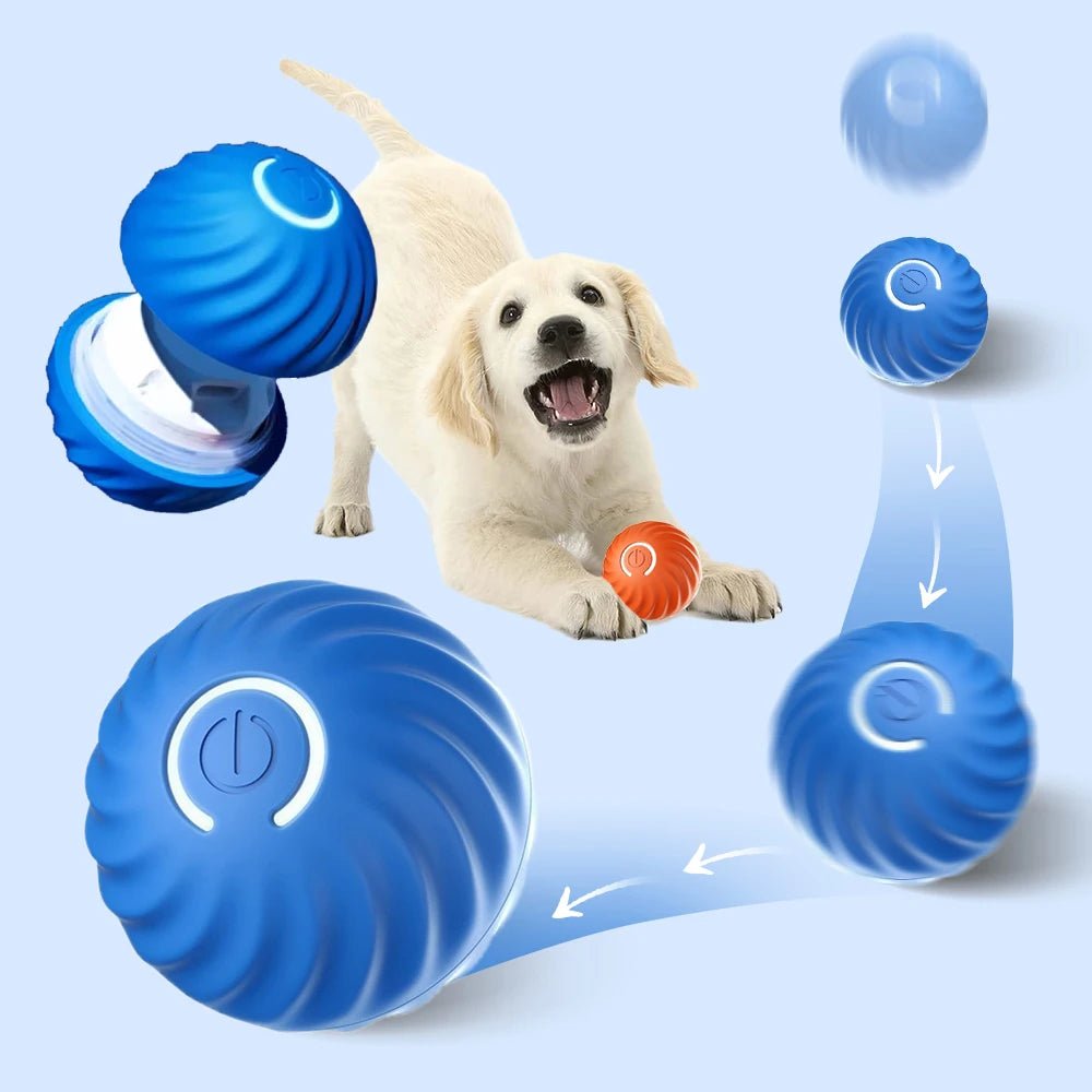 Balle interactive pour chien Oscar et Plume