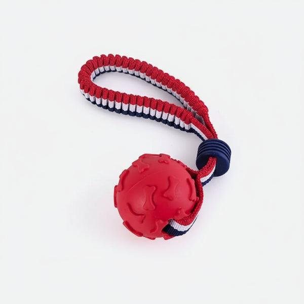 Balle résistante chien rouge avec cordon tressé pour jeux interactifs en extérieur
