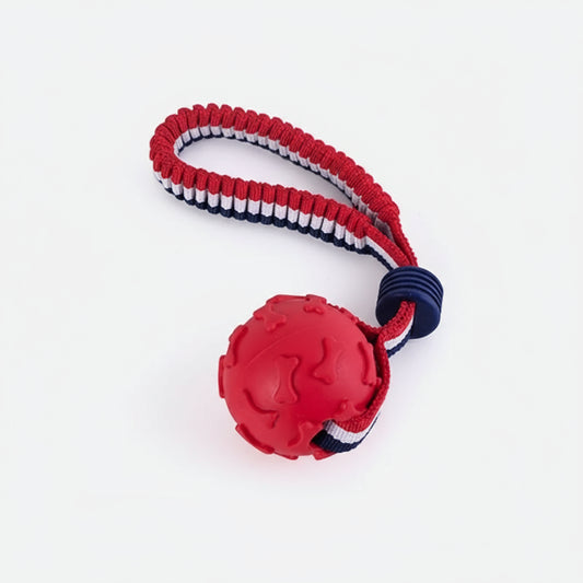 Balle résistante chien rouge avec cordon tressé pour jeux interactifs en extérieur