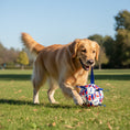 Load image into Gallery viewer, Chien Golden Retriever jouant avec un ballon pour chien coloré dans un parc ensoleillé
