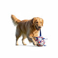 Load image into Gallery viewer, Un chien Golden Retriever jouant avec un ballon pour chien coloré et durable
