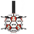 Load image into Gallery viewer, Ballon pour chien en forme de ballon de football, idéal pour jouer et divertir votre animal
