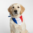 Load image into Gallery viewer, Chien doré portant un bandana pour chien aux couleurs bleu, blanc et rouge, parfait pour des occasions festives
