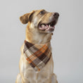 Load image into Gallery viewer, Bandana pour chien à motifs écossais marron et orange pour un look élégant
