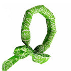 Bandana rafraîchissant pour chien vert avec motifs blancs pour garder l'animal au frais