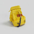 Blouson toile pour chien jaune avec laisse assortie de la marque Oscar et Plume