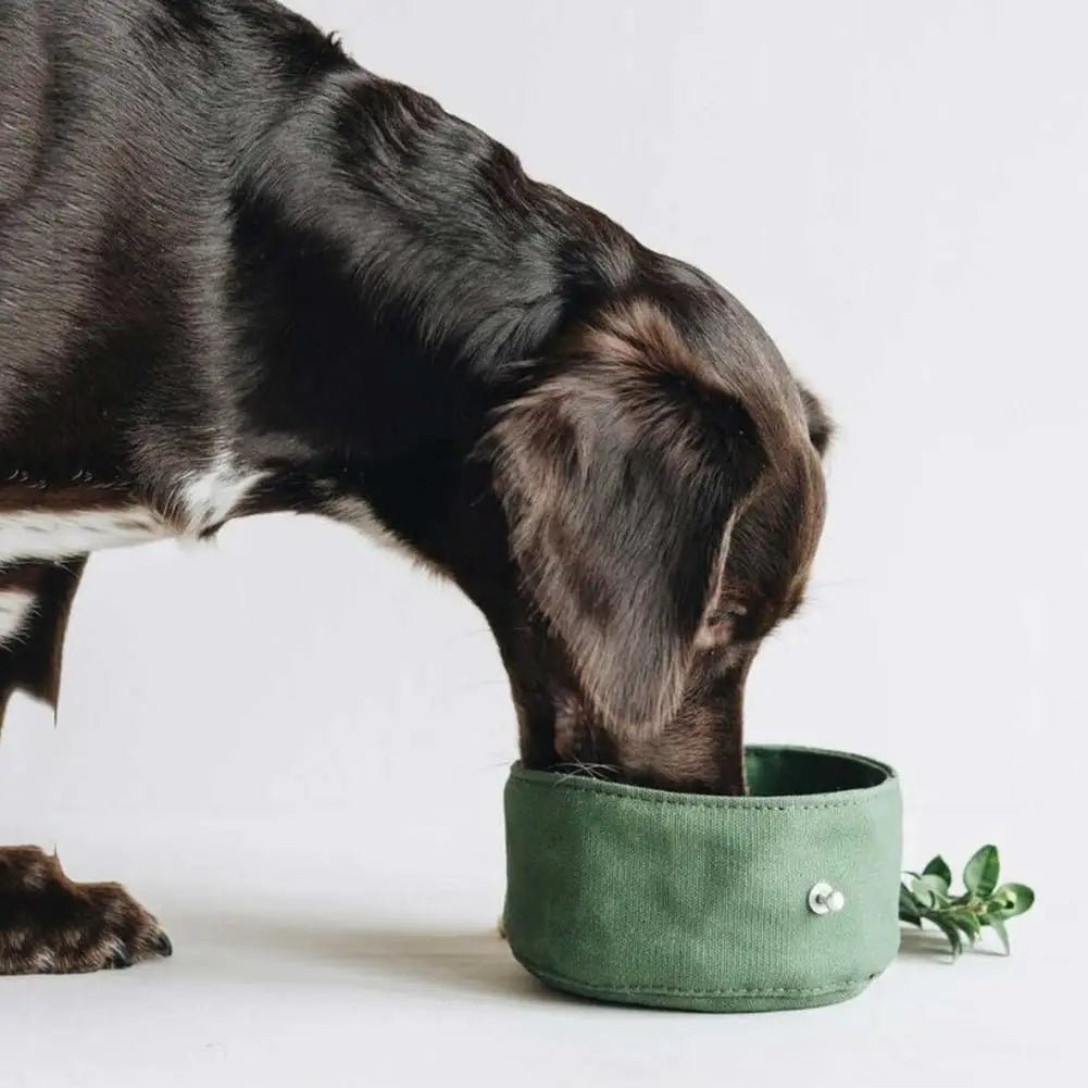 Bol en toile étanche pliable pour chat et chien Oscar et Plume Kaki