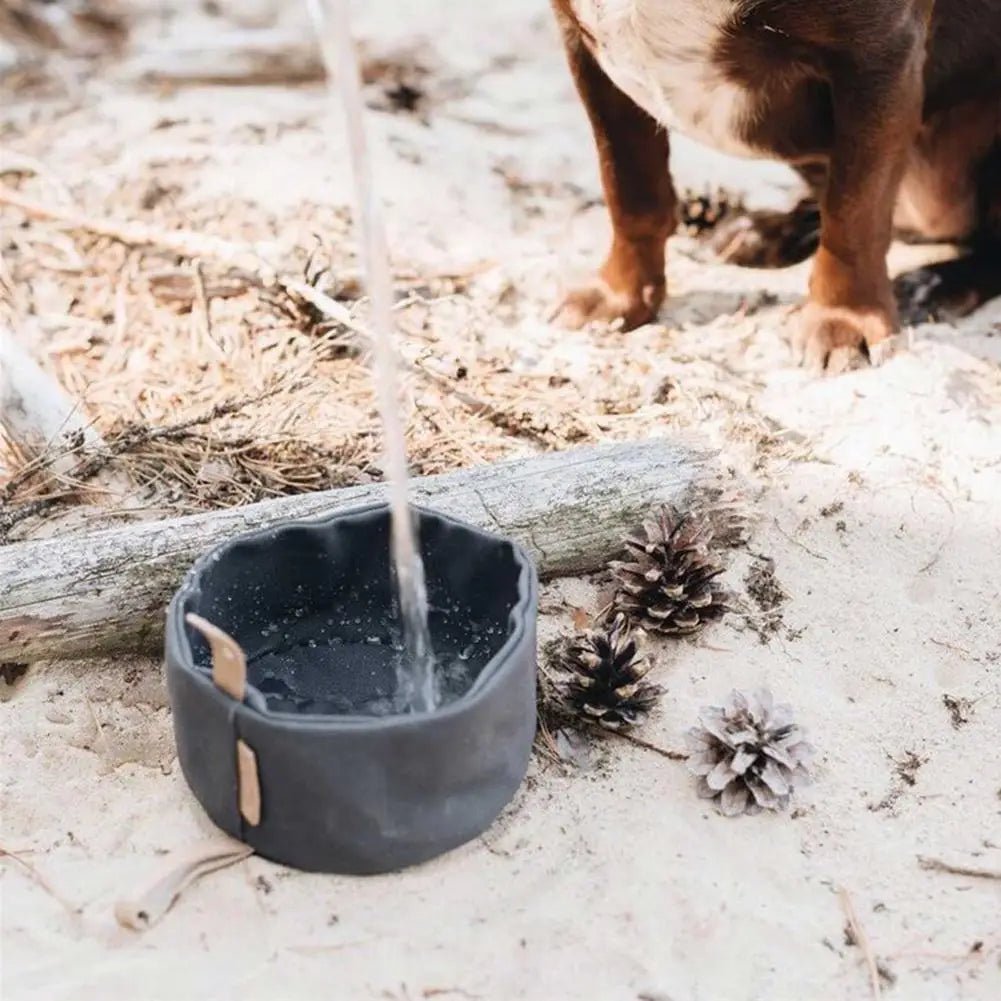 Bol en toile étanche pliable pour chat et chien Oscar et Plume