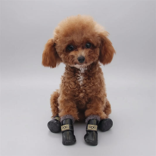 Petit chien portant des bottes pour petit chien noires avec intérieur en fourrure Oscar et Plume