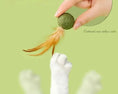 Load image into Gallery viewer, Boule d'herbe à chat comestible avec plumes Oscar et Plume
