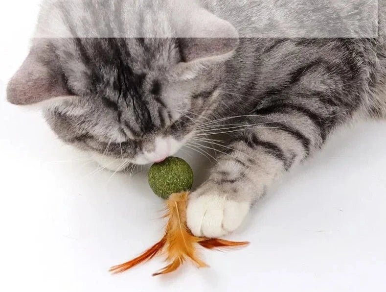 Boule d'herbe à chat comestible avec plumes Oscar et Plume