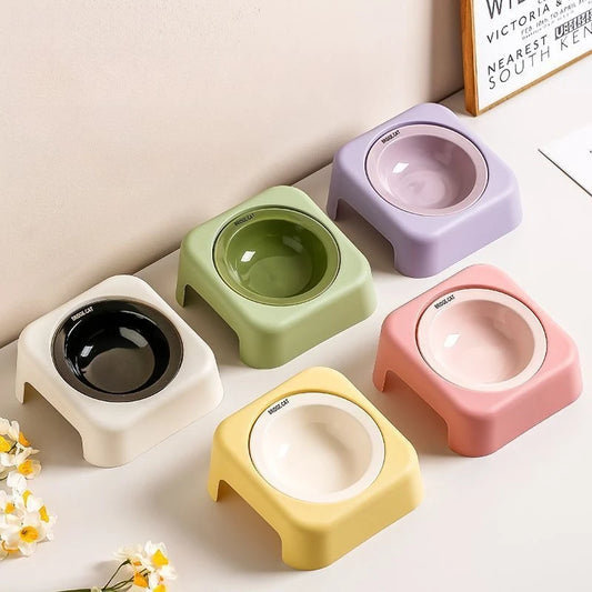 Gamelles pour chat et chien en différentes couleurs avec support antidérapant élégante et moderne