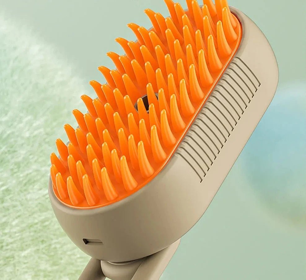 Brosse à vapeur d'eau Oscar et Plume