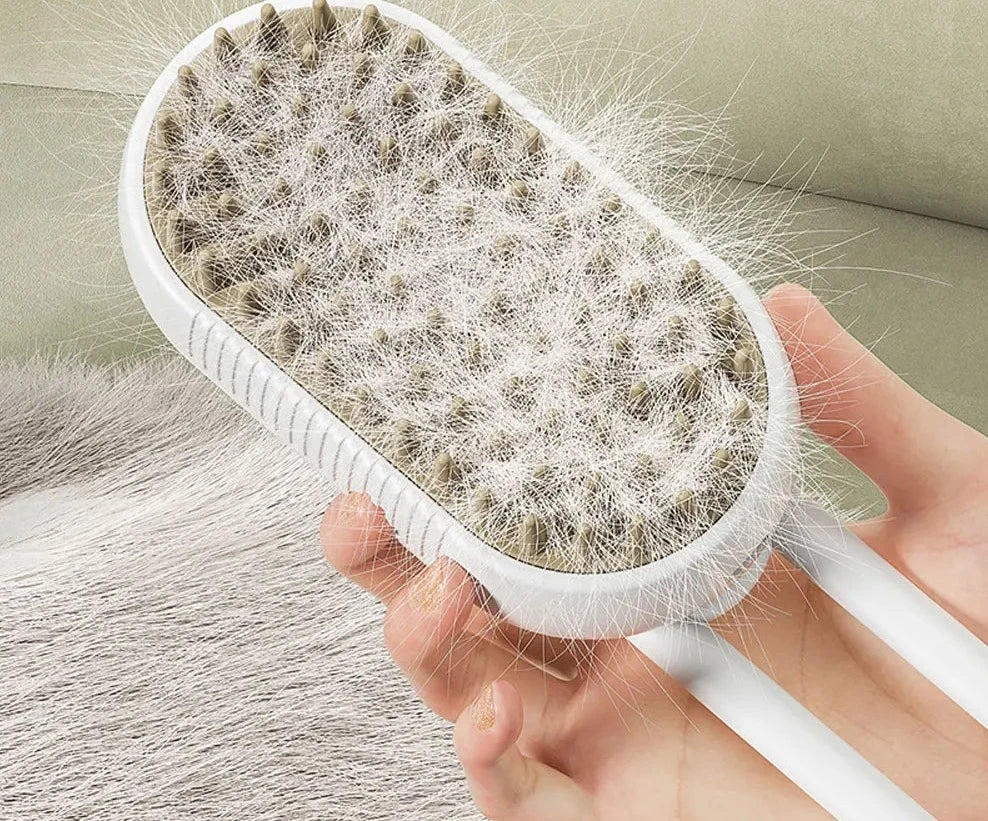 Brosse à vapeur d'eau Oscar et Plume