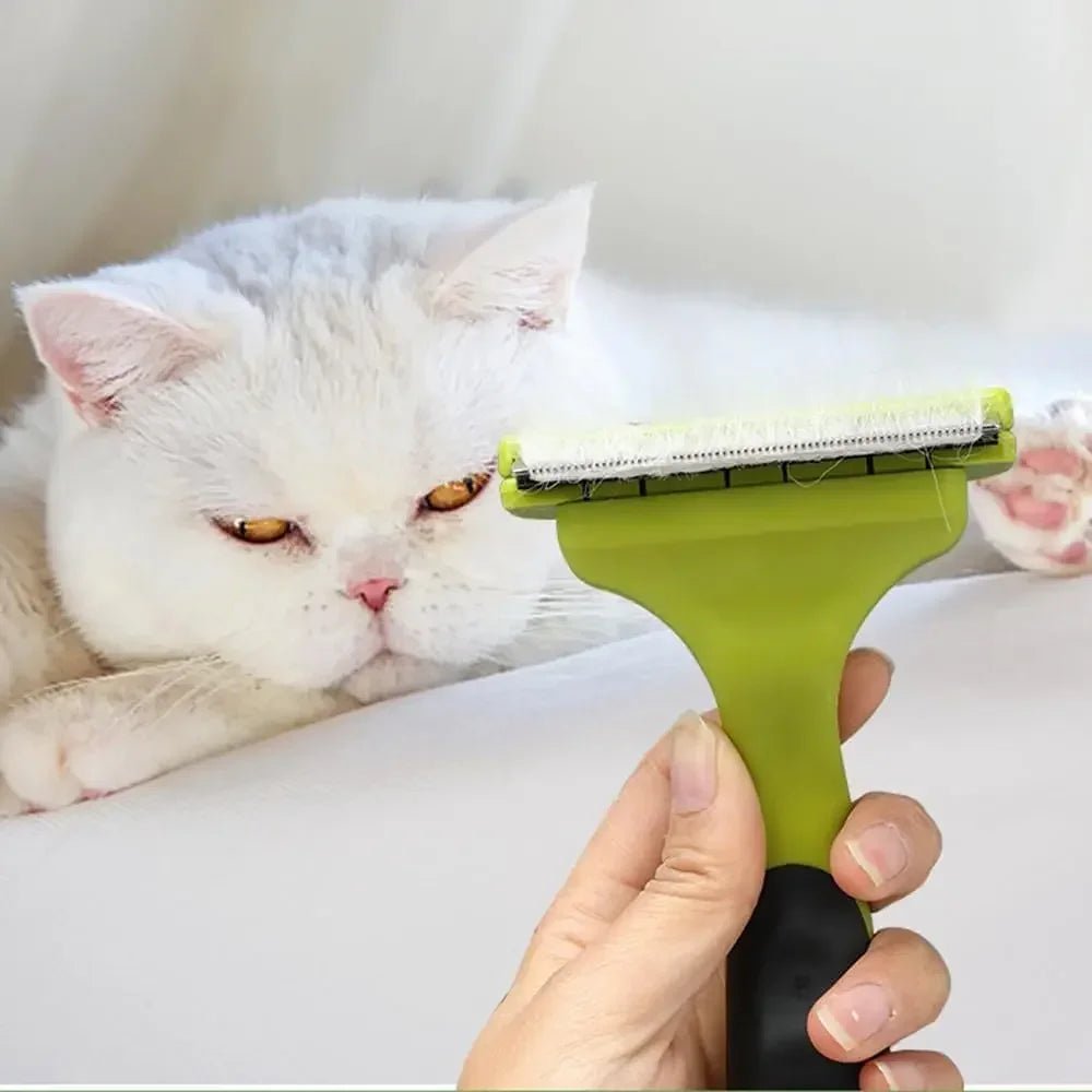 Brosse de toilettage pour chien et chat verte tenue devant un chat blanc aux yeux jaunes allongé