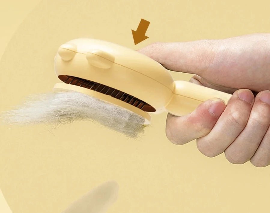 Brosse poil de chat design avec bouton poussoir Oscar et Plume