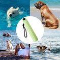 Charger l'image dans la visionneuse de la galerie, Bumper Flottant Pour Chien Oscar et Plume Vert
