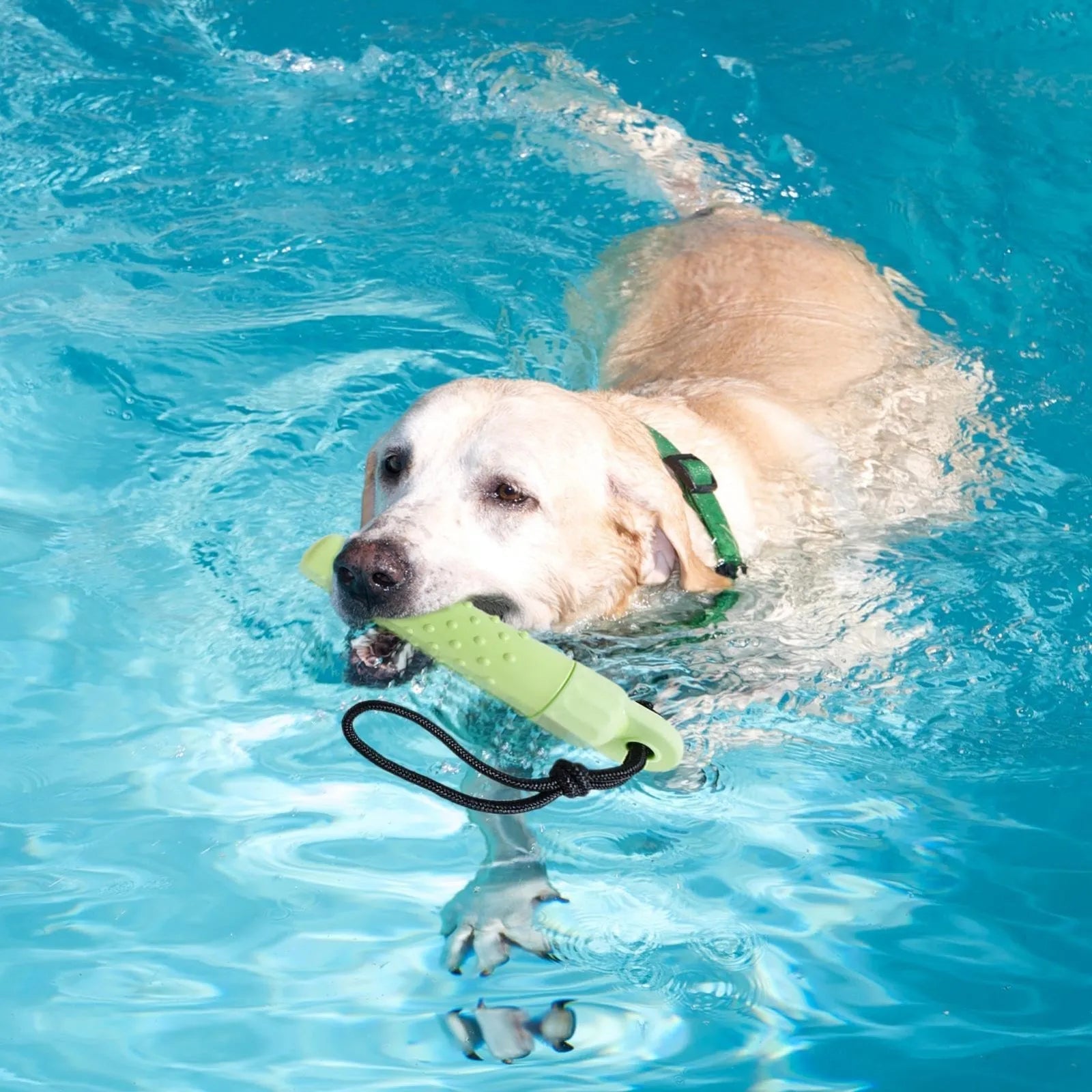 Bumper Flottant Pour Chien Oscar et Plume Vert