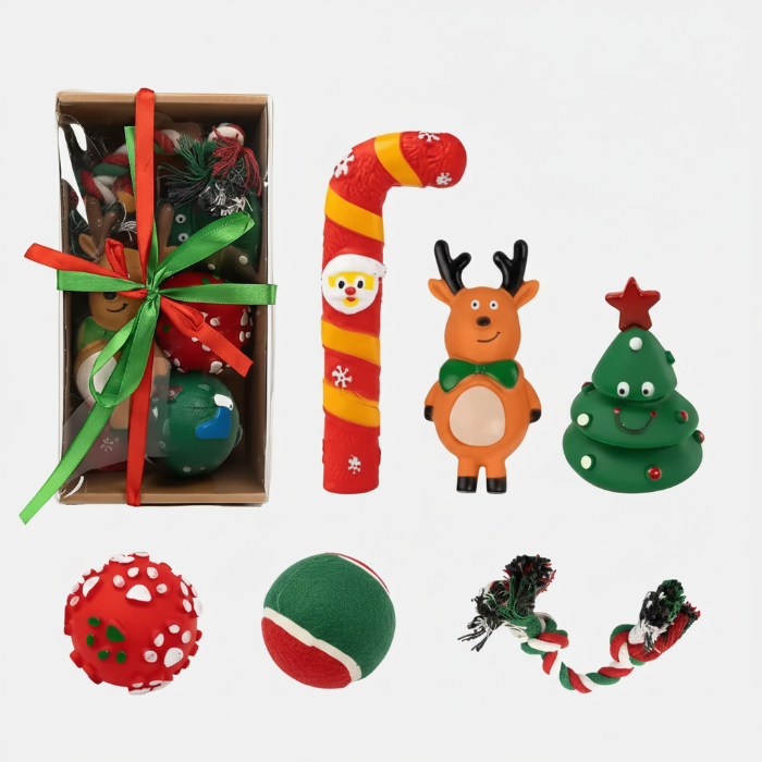 Coffret cadeau Noël pour petit chien contenant des jouets colorés et festifs pour animaux de compagnie