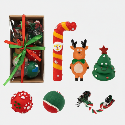Coffret cadeau Noël pour petit chien contenant des jouets colorés et festifs pour animaux de compagnie