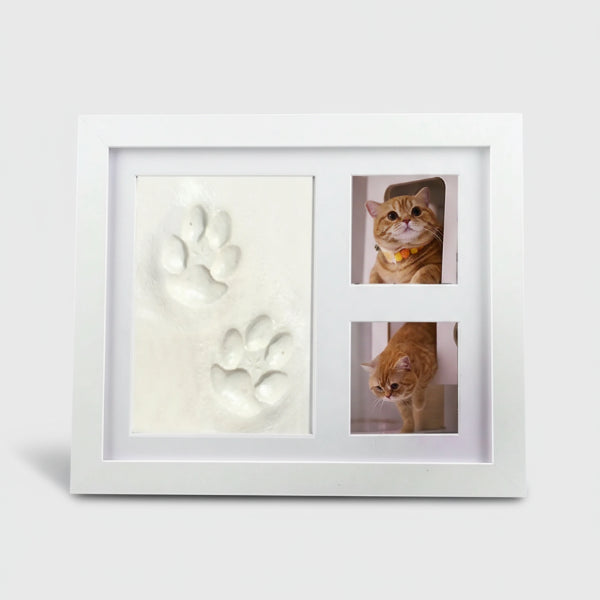 Cadre empreintes chien et chat avec décorations pour afficher les empreintes de vos animaux de compagnie