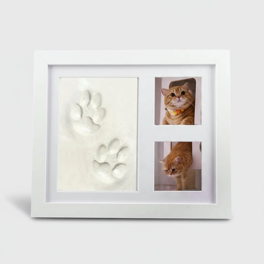 Cadre empreintes chien et chat avec décorations pour afficher les empreintes de vos animaux de compagnie