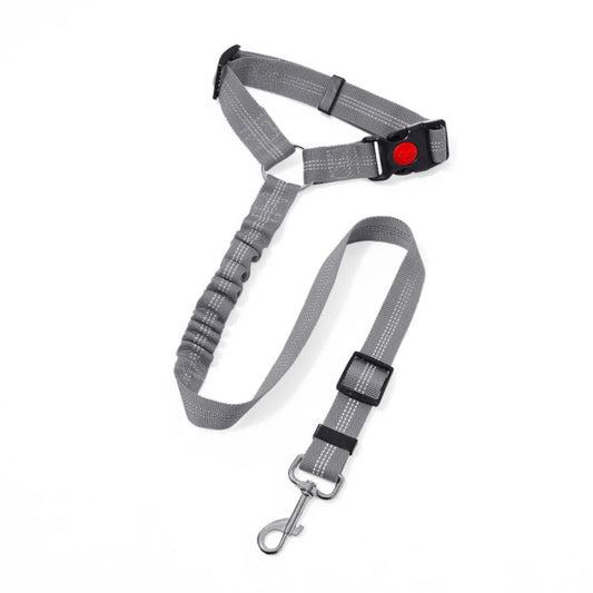 Ceinture de sécurité pour chien Oscar et Plume en gris avec sangle réglable et clip de fixation