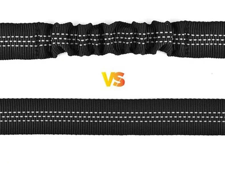 Comparaison de deux modèles de ceinture de sécurité pour chien avec bandes réfléchissantes noires