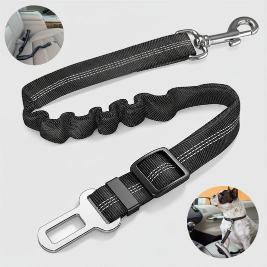 Ceinture de sécurité pour chien noire ajustable avec crochet métallique pour voiture