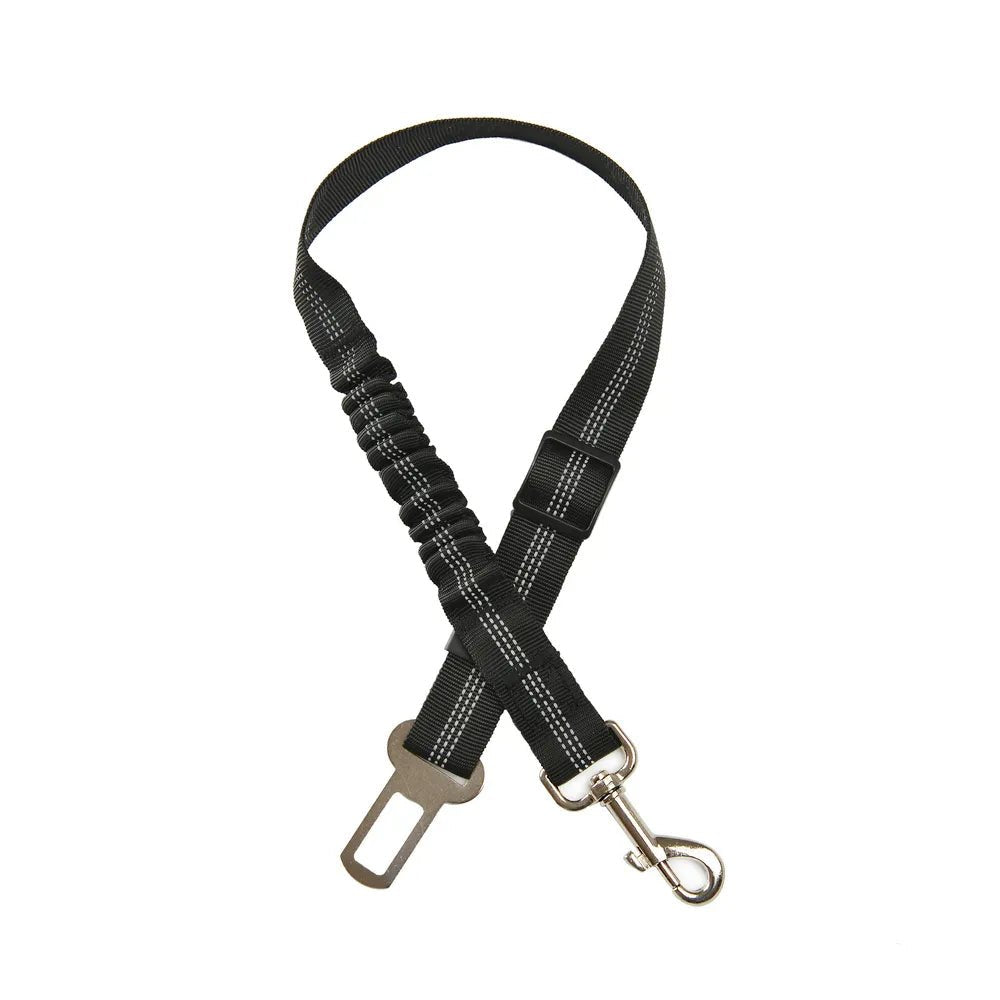 Ceinture de sécurité pour chien noire avec boucle métallique et attache résistante Oscar et Plume