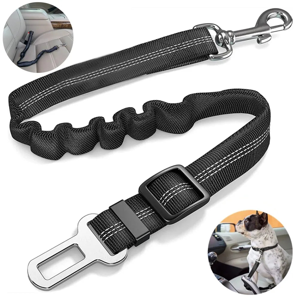 Ceinture de sécurité réglable en nylon pour chien Oscar et Plume Noir