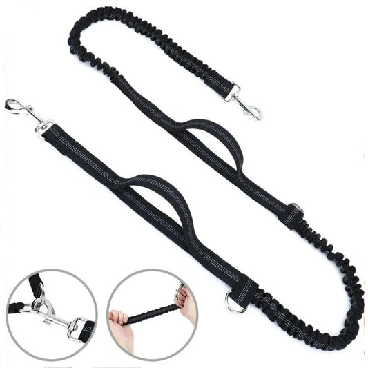 Ceinture de traction pour activité physique avec son chien Oscar et Plume Laisse