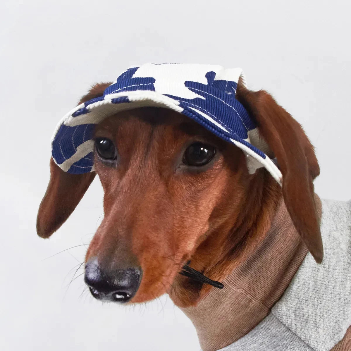 Chapeau pour chien en tissu léger avec motif floral pour un look stylé en été