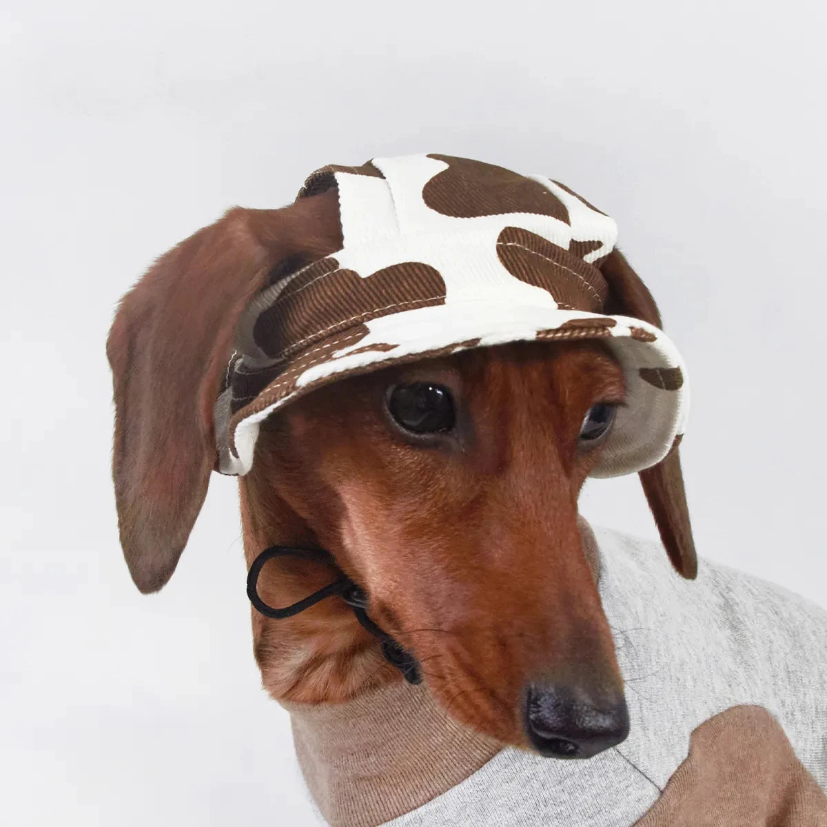 Chapeau pour chien en motif vache, idéal pour protéger votre animal du soleil