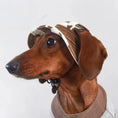 Carica l'immagine nel visualizzatore della galleria, Chien teckel portant un chapeau pour chien en tissu côtelé avec motif camouflage
