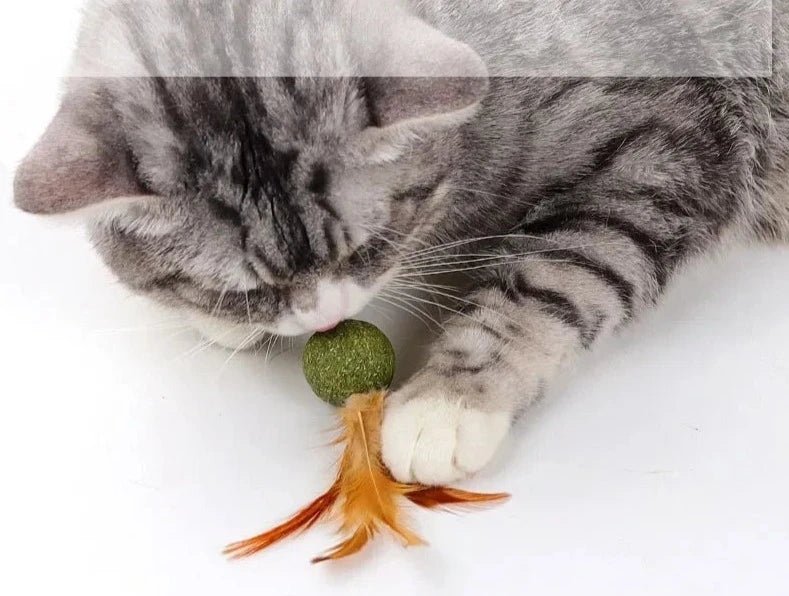 Chat gris jouant avec une boule comestible pour chat verte avec plumes marron