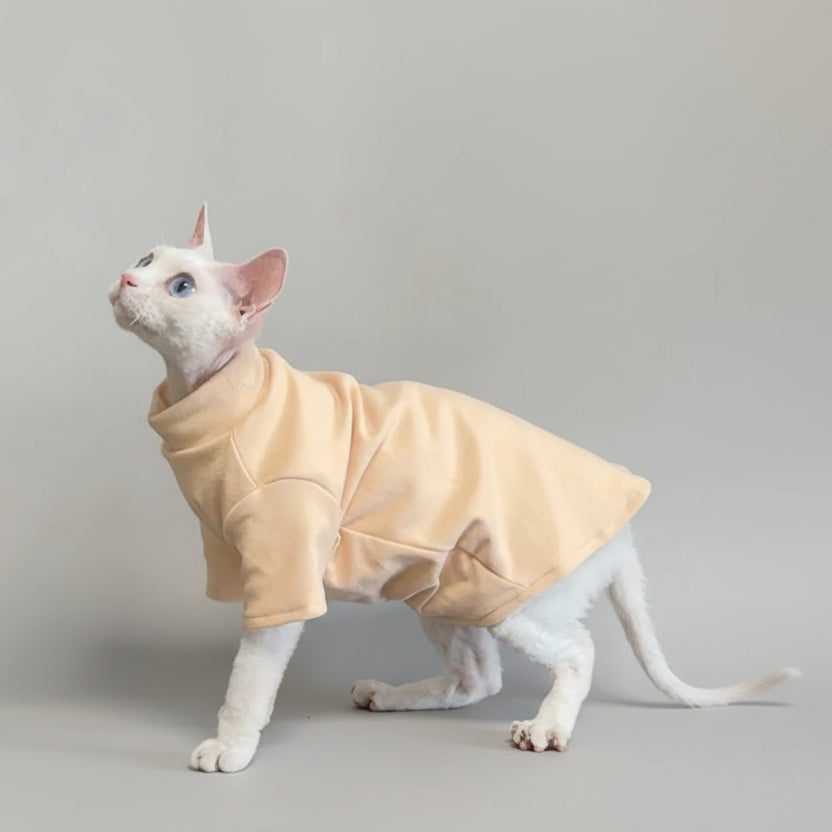 Chat portant un sweat confortable pour chat couleur beige avec col relevé et manches courtes