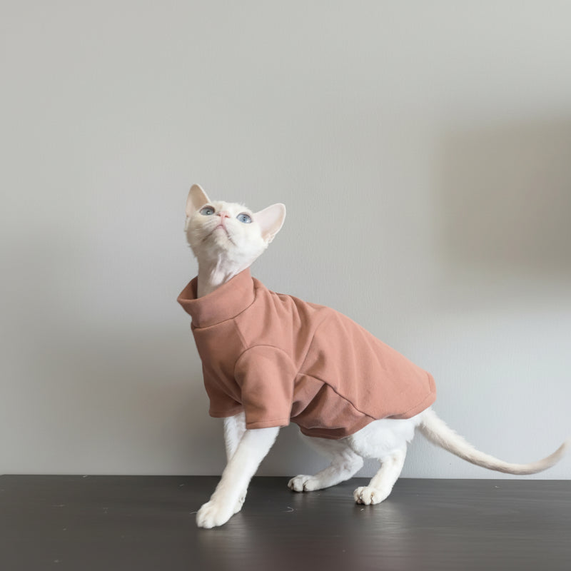 Chat portant un sweat confortable pour chat de couleur beige, debout sur une surface en bois