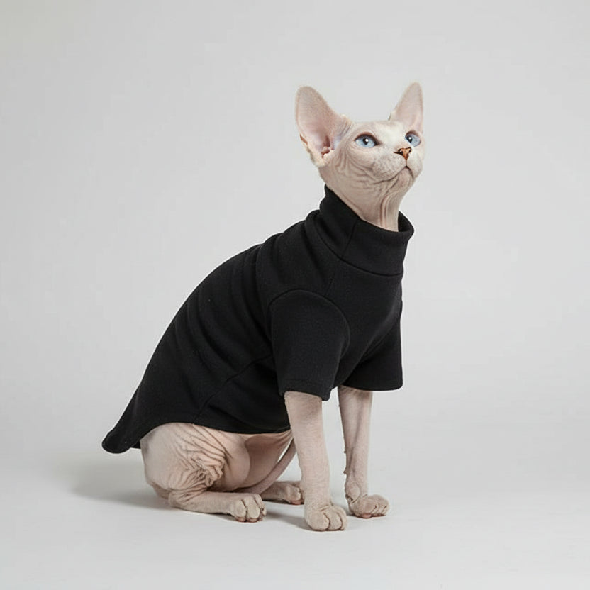 Sweat confortable pour chat en noir, parfait pour garder votre animal au chaud et élégant.