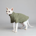 Load image into Gallery viewer, Sweat confortable pour chat en vert olive idéal pour garder votre animal au chaud

